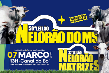 50º LEILÃO NELORÃO DO MS E 32º LEILÃO NELORÃO MATRIZES